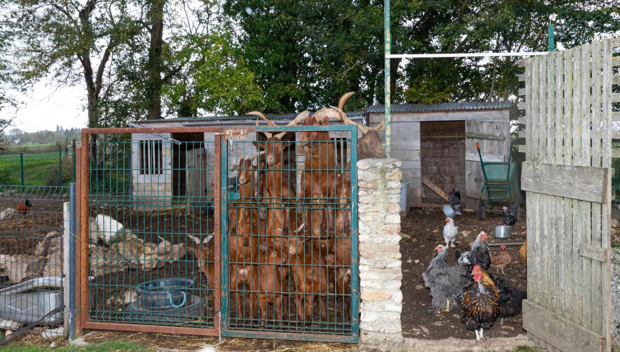 Montjavoult La Ferme Des Nonains 아파트 외부 사진